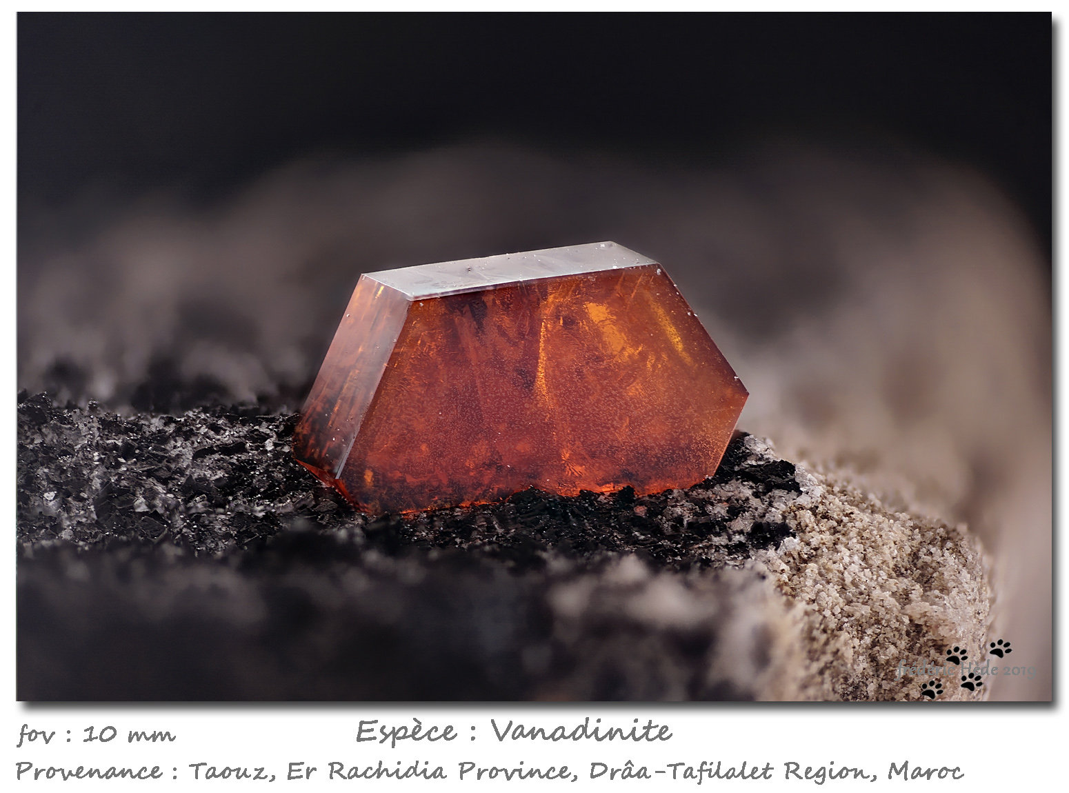 Vanadinite
fov 10 mm
(Autor: ploum)