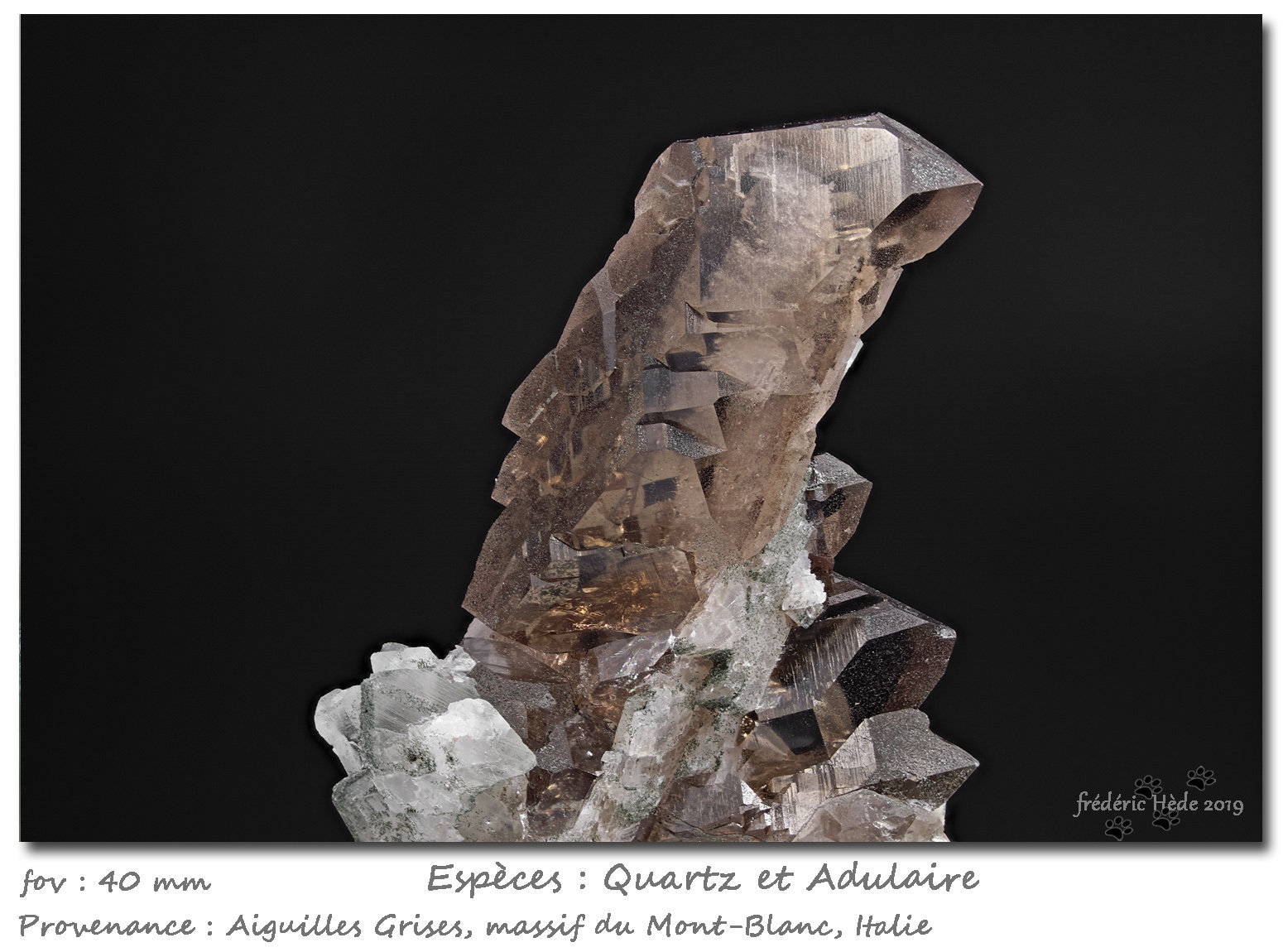 Quartz (variety smoky)
fov 40 mm
(Autor: ploum)