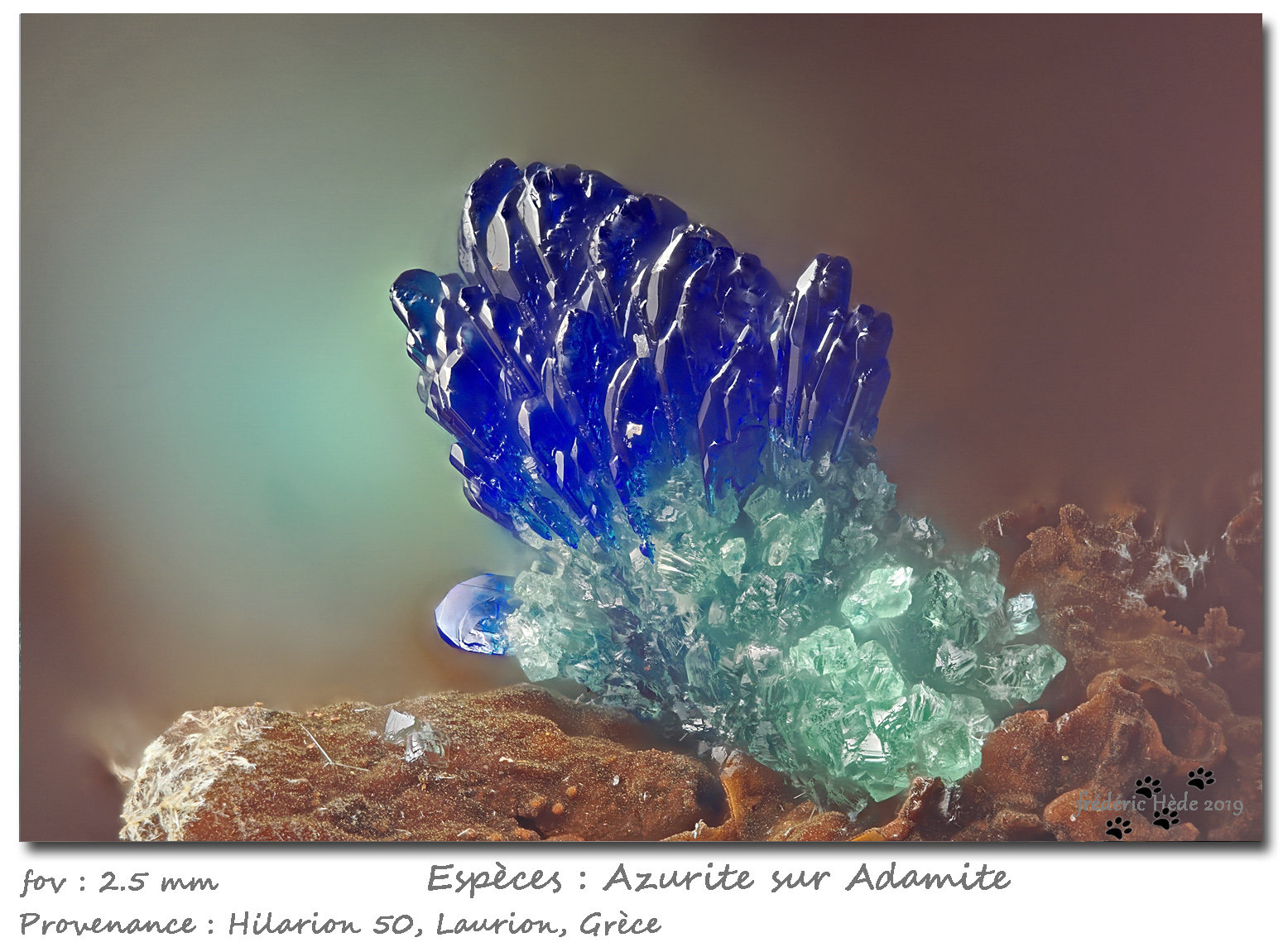Azurite on Adamite
fov 2.5 mm
(Autor: ploum)