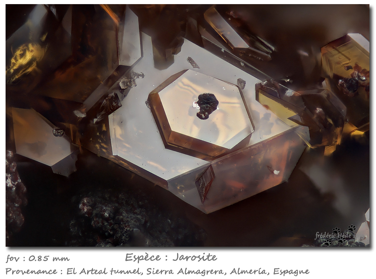 Jarosite
fov 0.85 mm
(Autor: ploum)