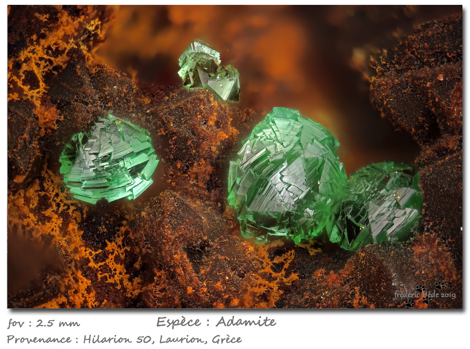 Adamite
fov 2.5 mm
(Autor: ploum)