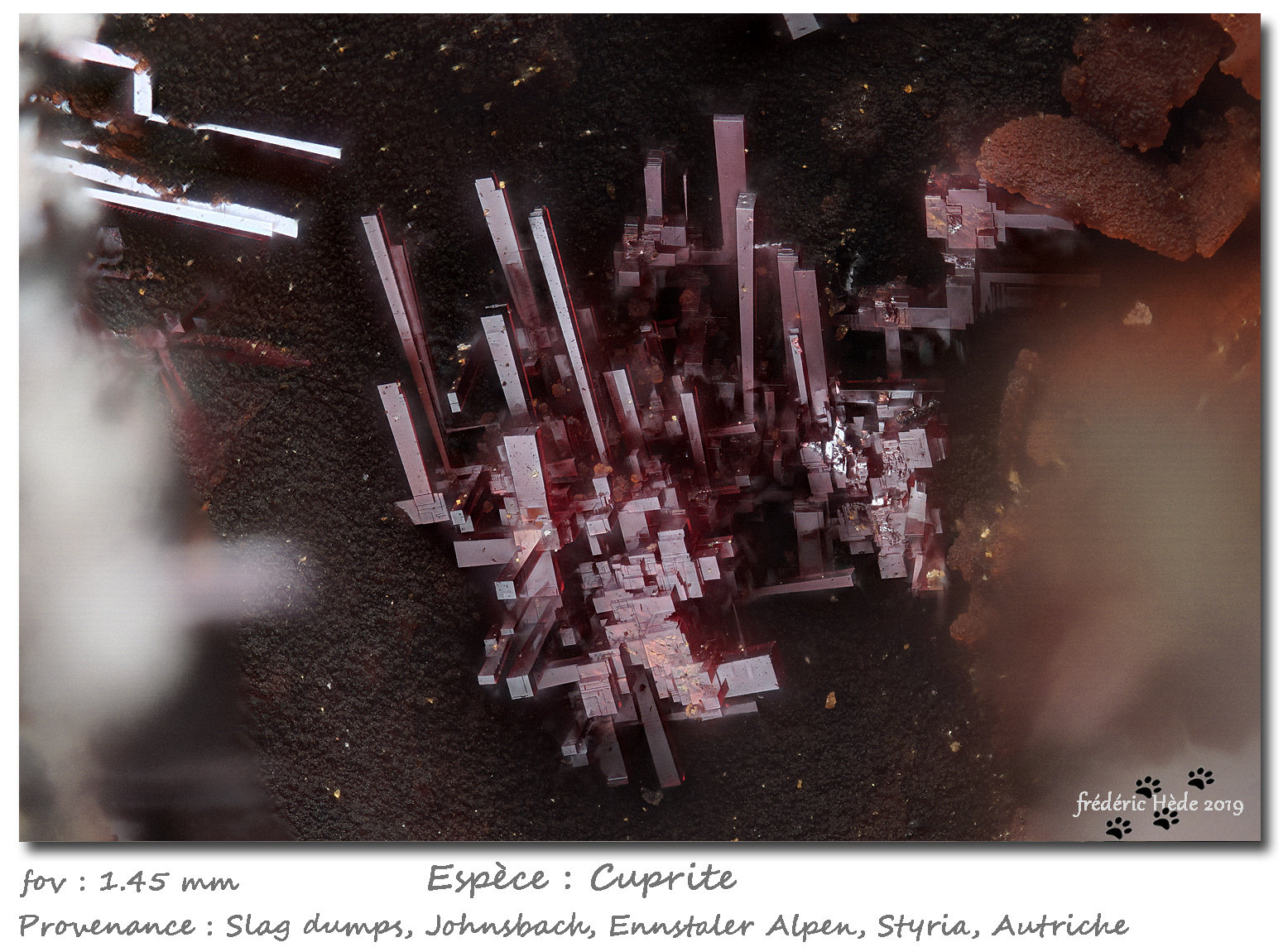 Cuprite
fov 1.45mm
(Autor: ploum)