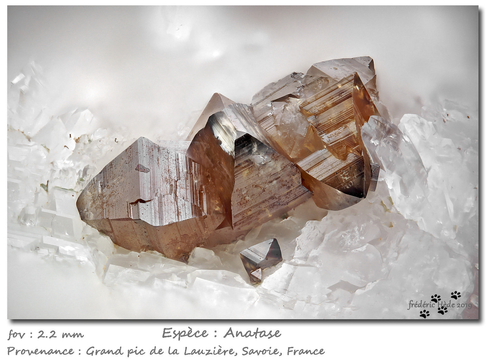 Anatase on Quartz
fov 2.2 mm
(Autor: ploum)