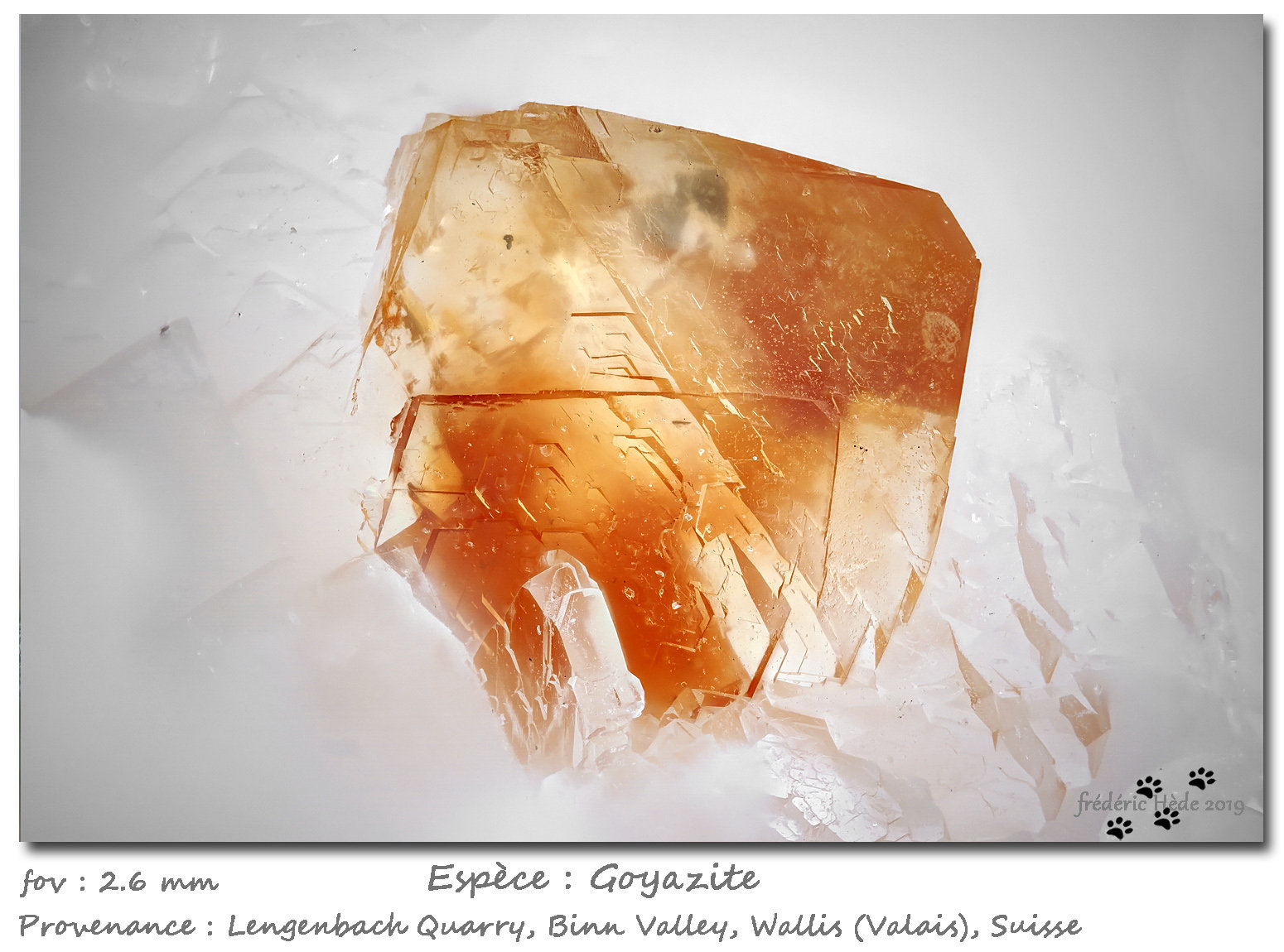 Goyazite
fov 2.6 mm
(Autor: ploum)
