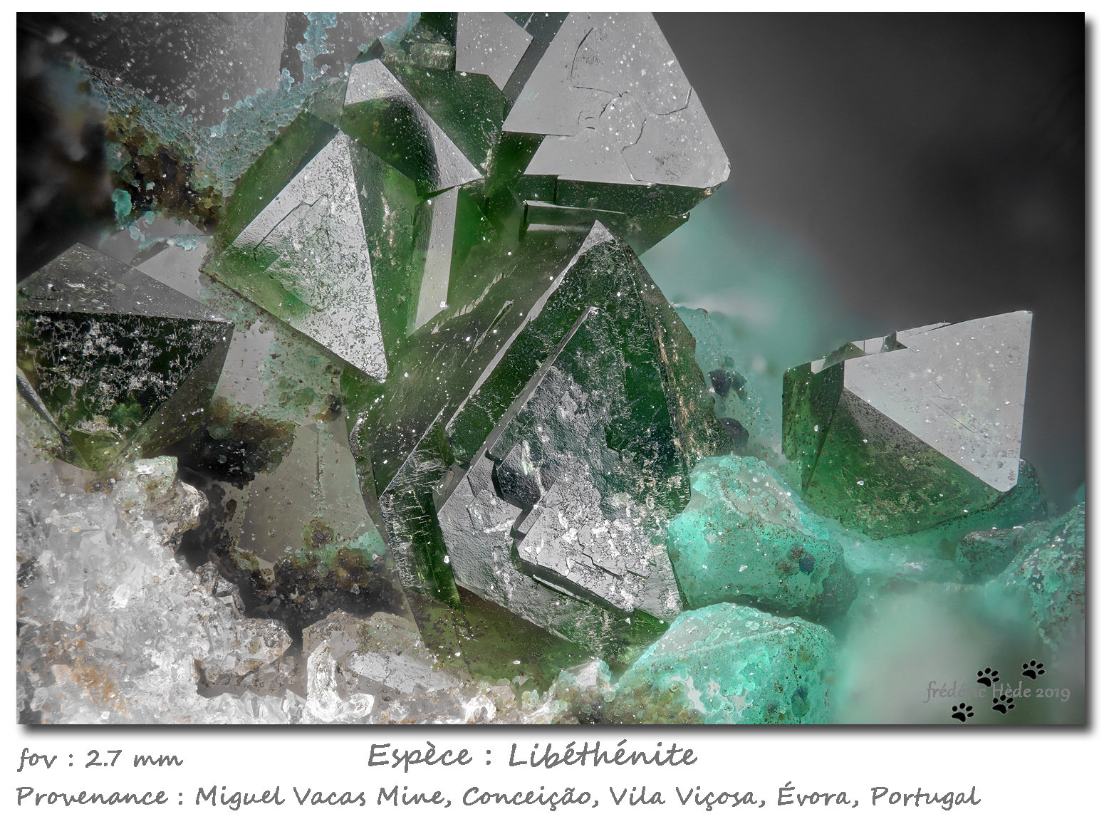 Libethenite
fov 2.6 mm
(Autor: ploum)