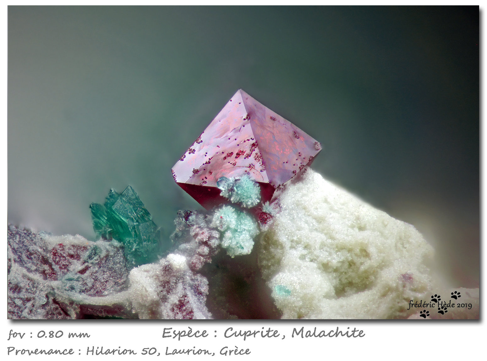 Cuprite with Malachite
fov 0.8 mm
(Autor: ploum)
