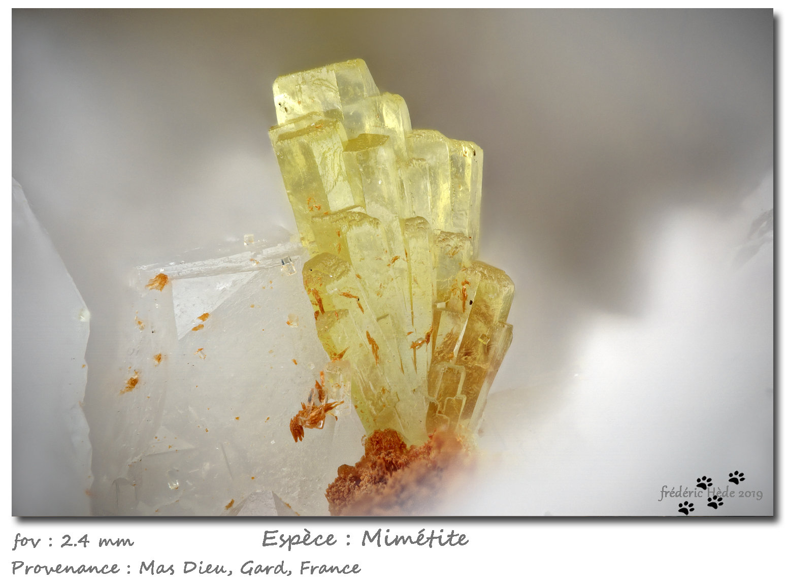 Mimetite
fov 2.4 mm
(Autor: ploum)