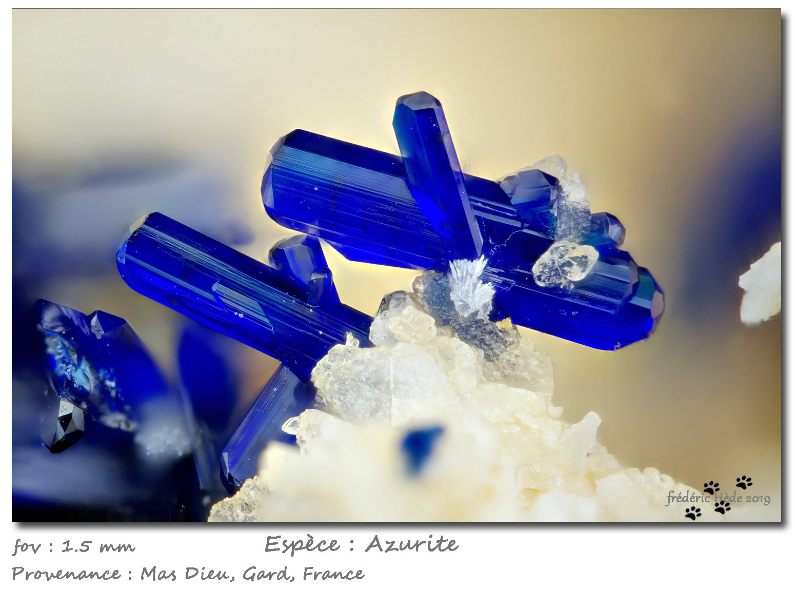 Azurite
fov 1.5 mm
(Autor: ploum)
