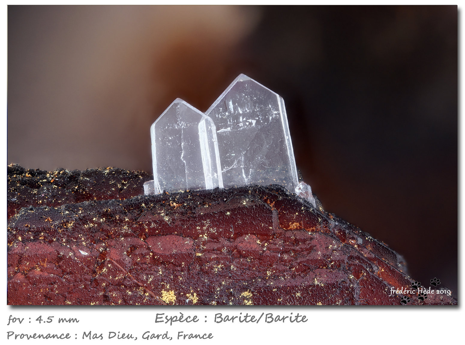 Barite
fov 4.5 mm
(Autor: ploum)