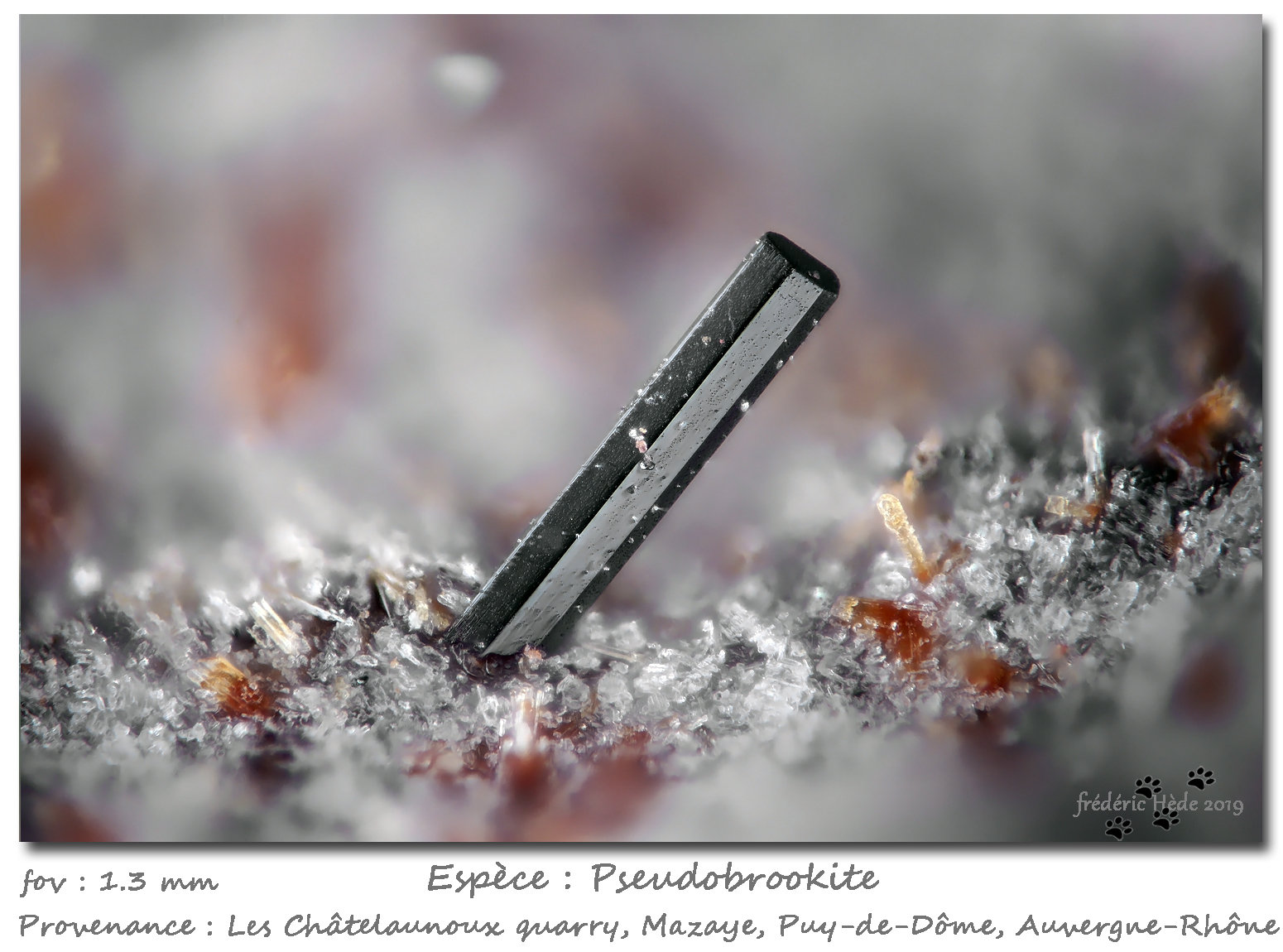 Pseudobrookite
fov 1.3 mm
(Autor: ploum)