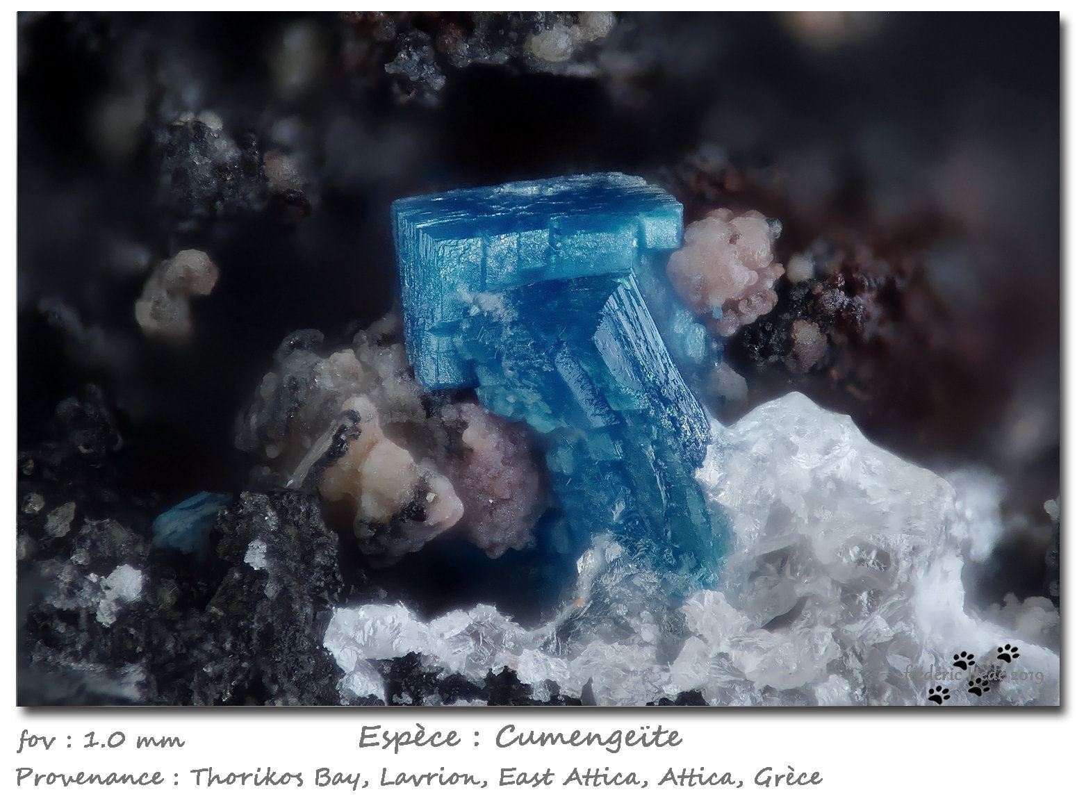 Cumengeite
fov 1.0 mm
(Autor: ploum)