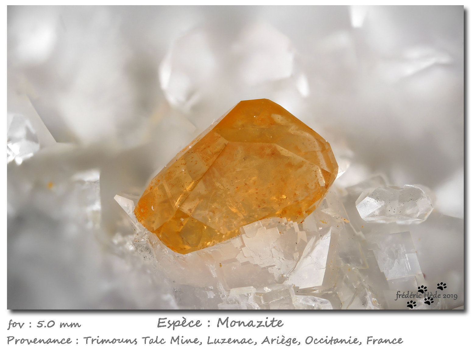 Monazite-(Ce)
fov 5 mm
(Autor: ploum)