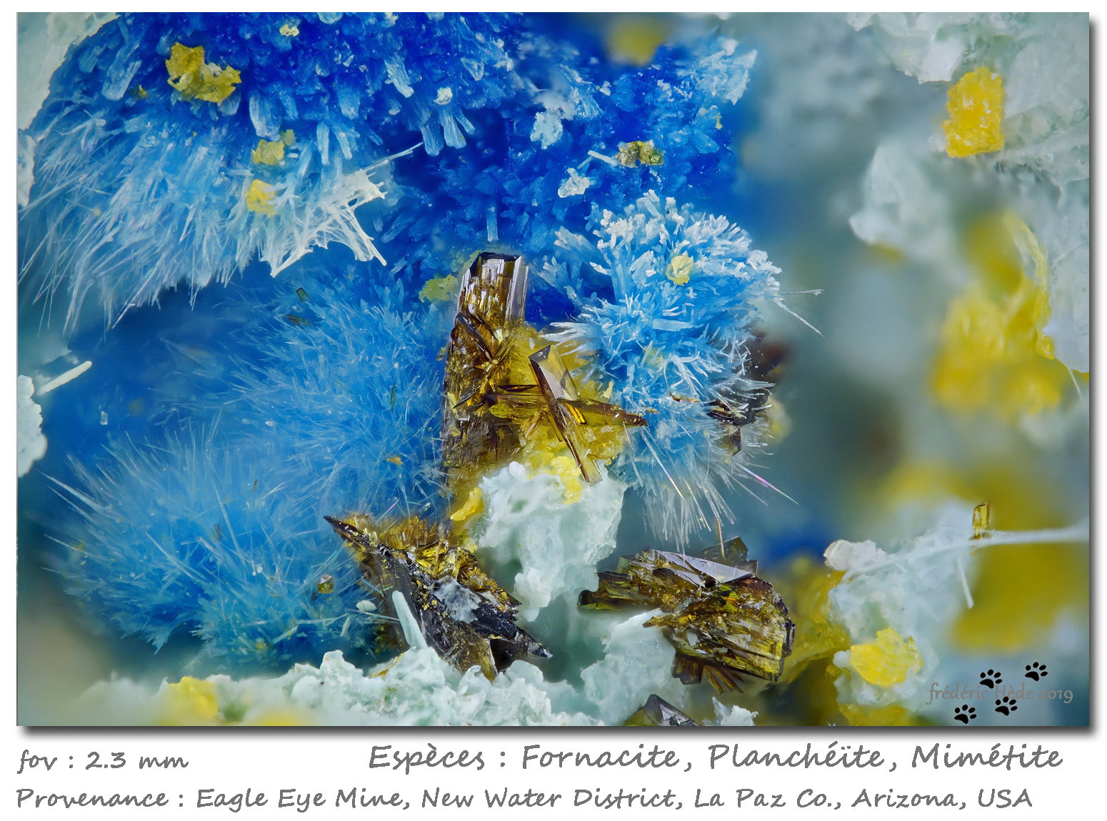 Fornacite + Plancheite + Mimetite
fov 2.3 mm
(Autor: ploum)