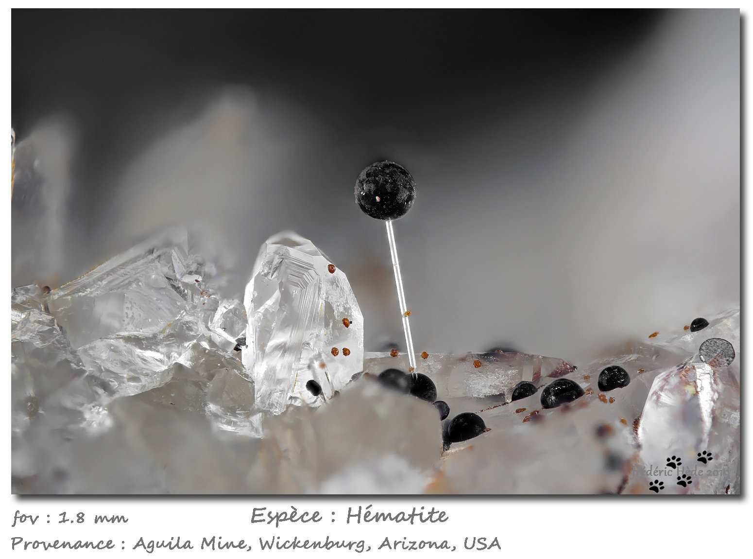 Hematite
fov 1.8 mm
(Autor: ploum)