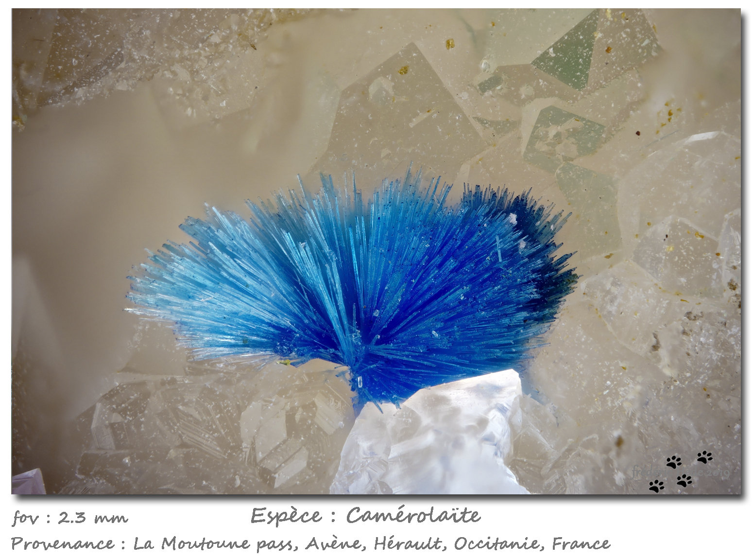 Camerolaite
fov 2.3 mm
(Autor: ploum)