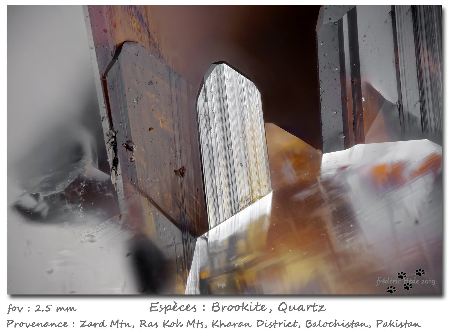 Brookite
fov 2.5 mm
(Autor: ploum)
