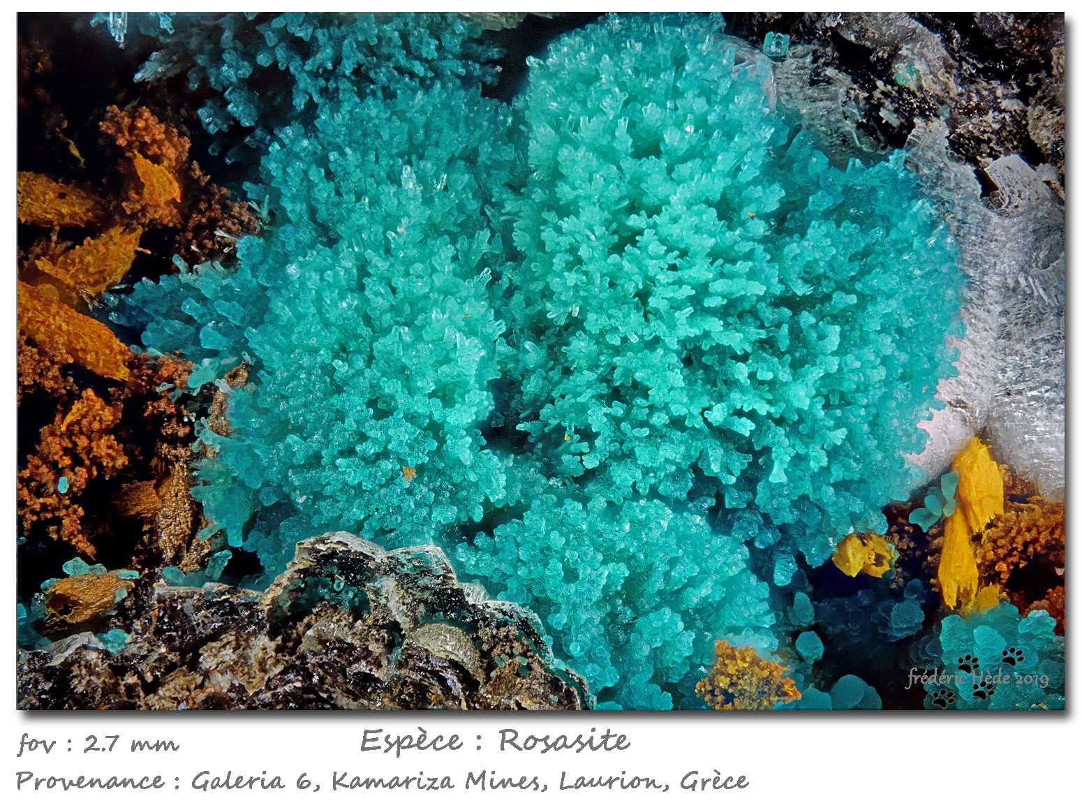 Rosasite
fov 2.7 mm
(Autor: ploum)
