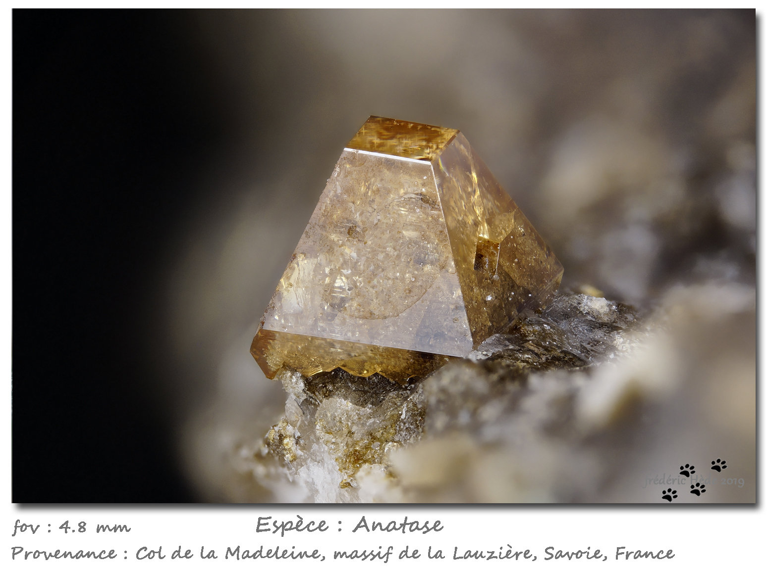 Anatase
fov 4.8 mm
(Autor: ploum)