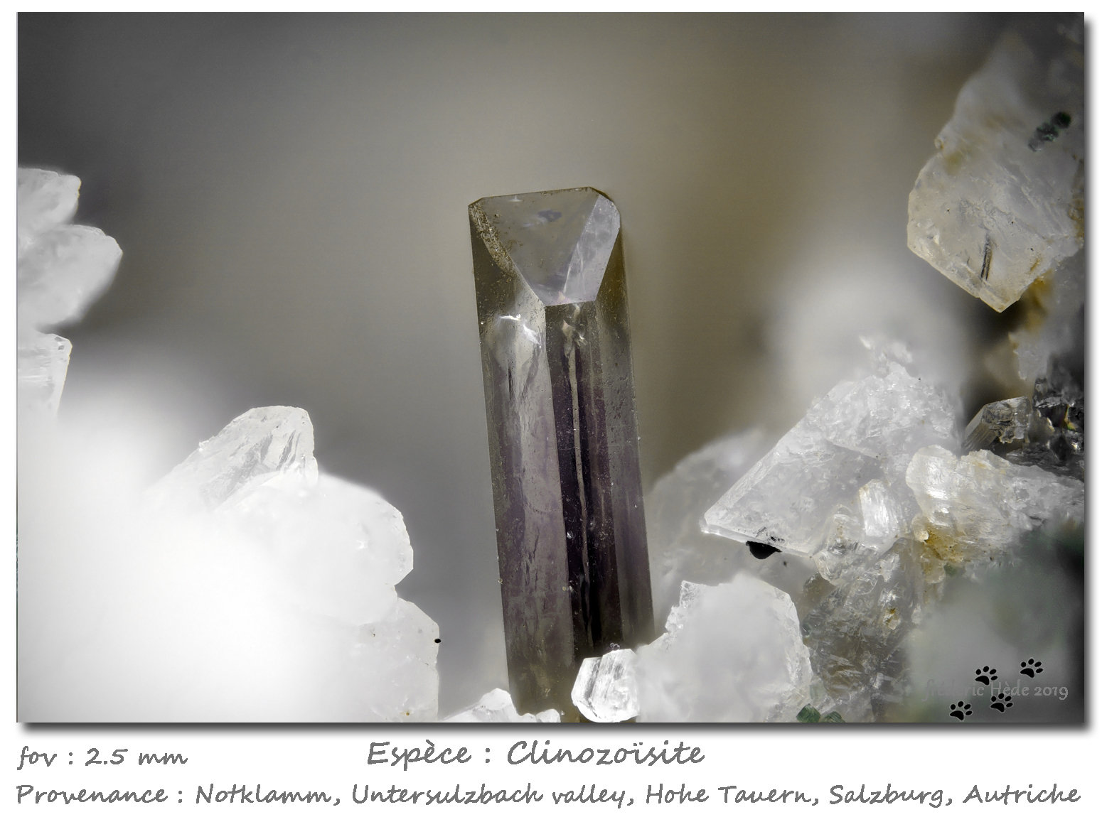 Clinozoisite
fov 2.5 mm
(Autor: ploum)