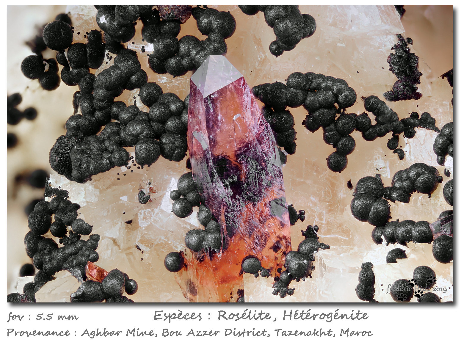 Roselite and Heterogenite
fov 5.5 mm
(Autor: ploum)