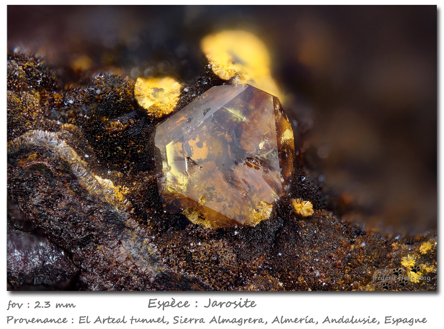 Jarosite
fov 2.3 mm
(Autor: ploum)