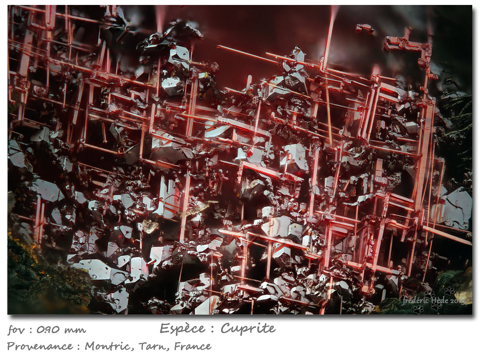 Cuprite
fov 0.90 mm
(Autor: ploum)