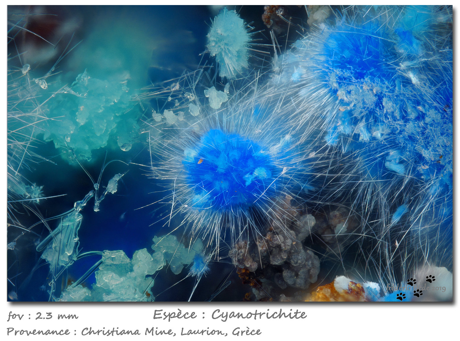 Cyanotrichite
fov 2.3 mm
(Autor: ploum)