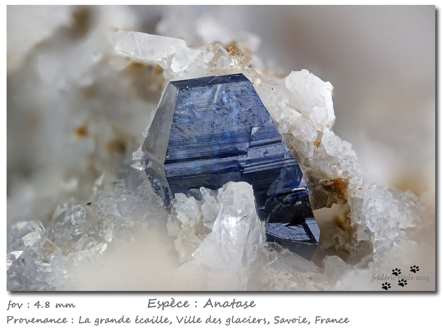 Anatase
fov 4.8 mm
(Autor: ploum)