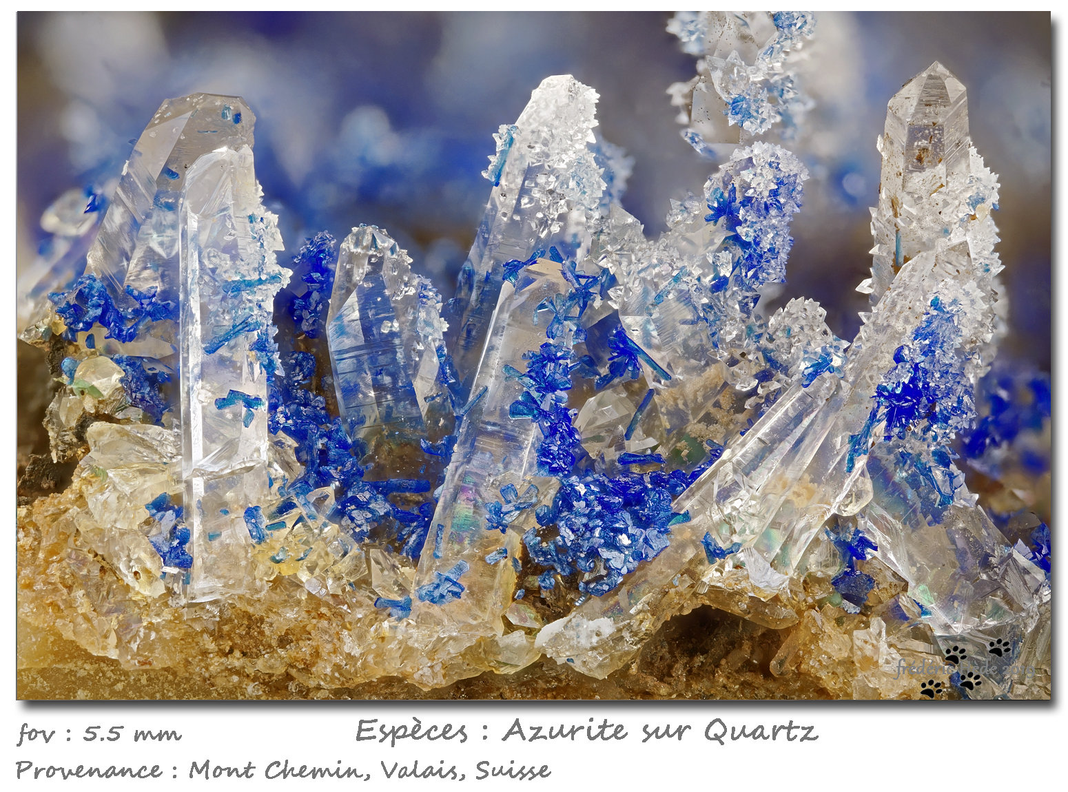 Azurite on Quartz
fov 5.5 mm
(Autor: ploum)