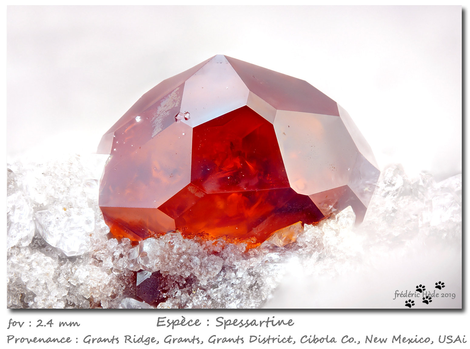 Spessartine
fov 2.4 mm
(Autor: ploum)