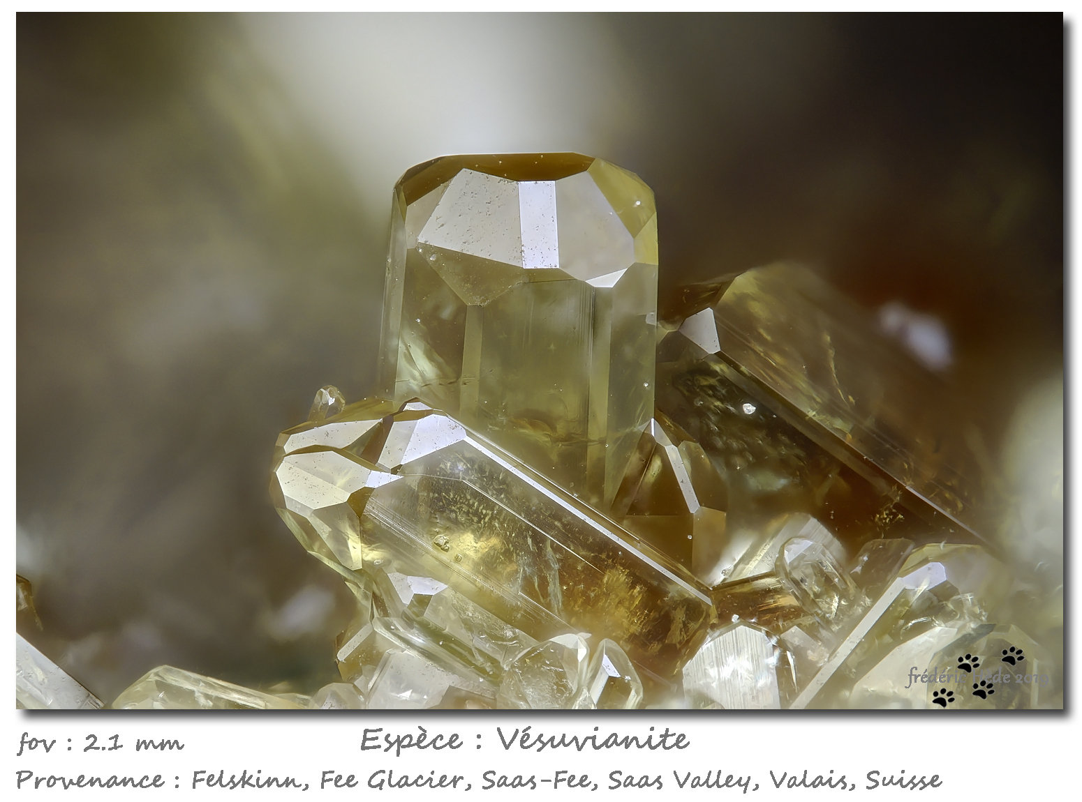 Vesuvianite
fov 2.1 mm
(Autor: ploum)
