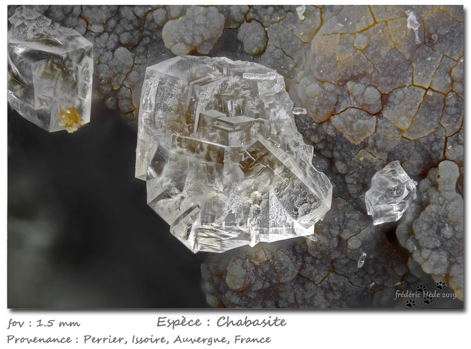 Chabazite-Ca
fov 1.5 mm
(Autor: ploum)