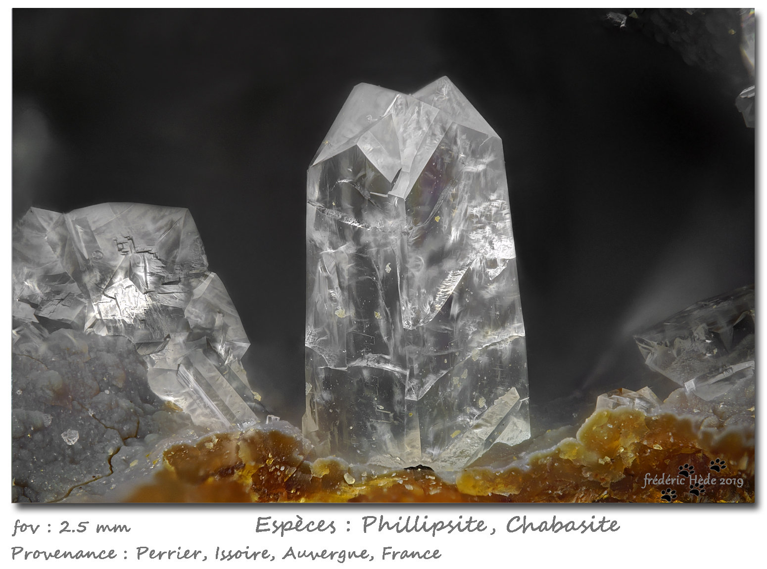 Phillipsite with Chabazite-Ca
fov 2.5 mm
(Autor: ploum)