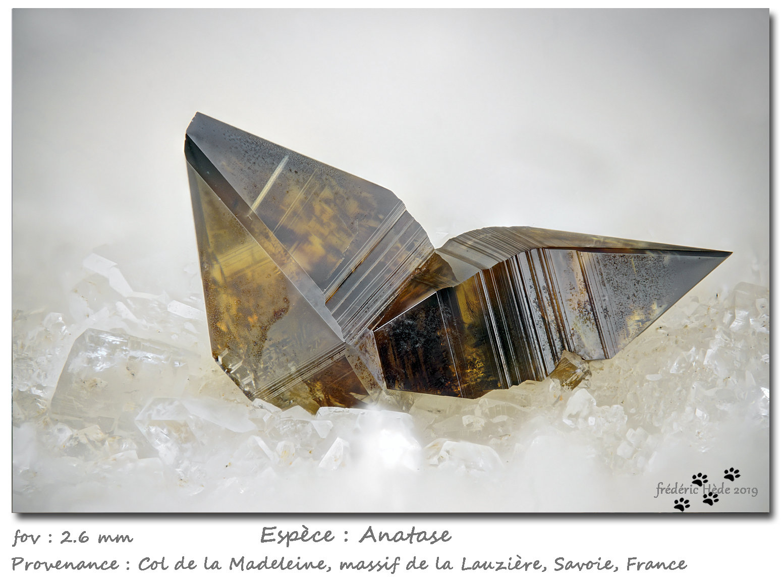 Anatase
fov 2.6 mm
(Autor: ploum)