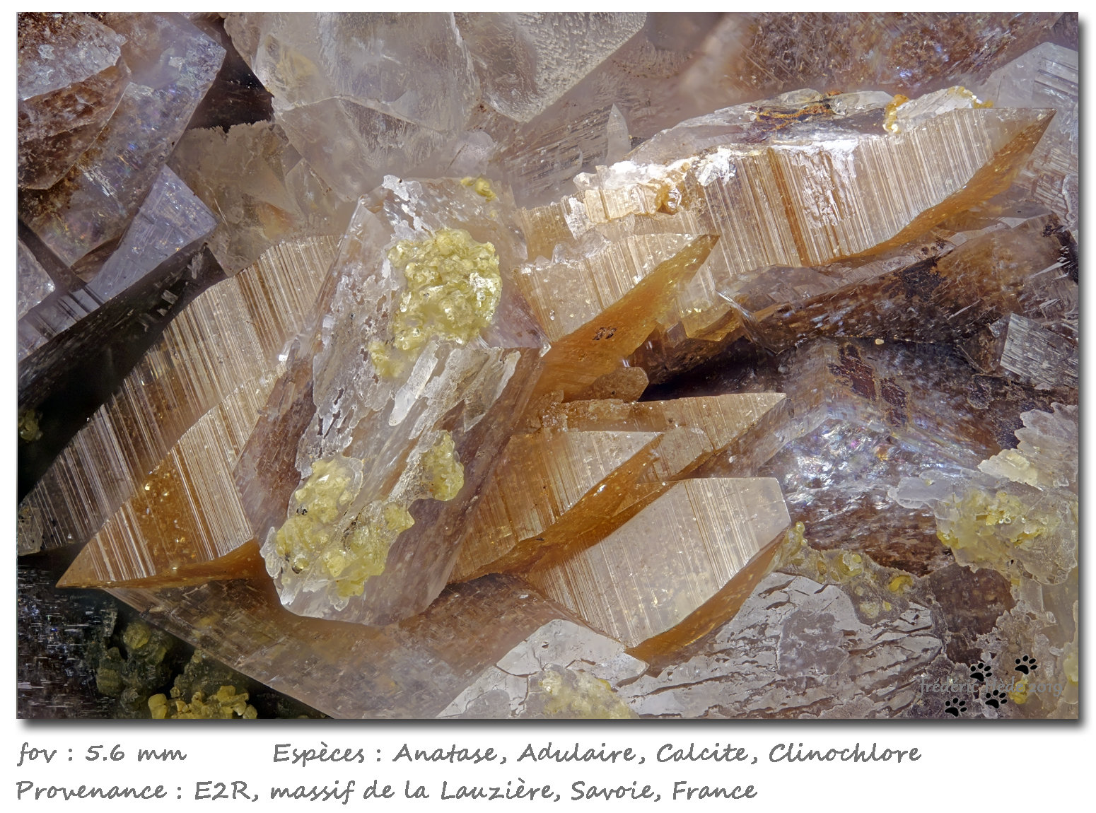 Anatase with Orthoclase (variety adularia), Calcite and Clinochlore
fov 5.6 mm
(Autor: ploum)