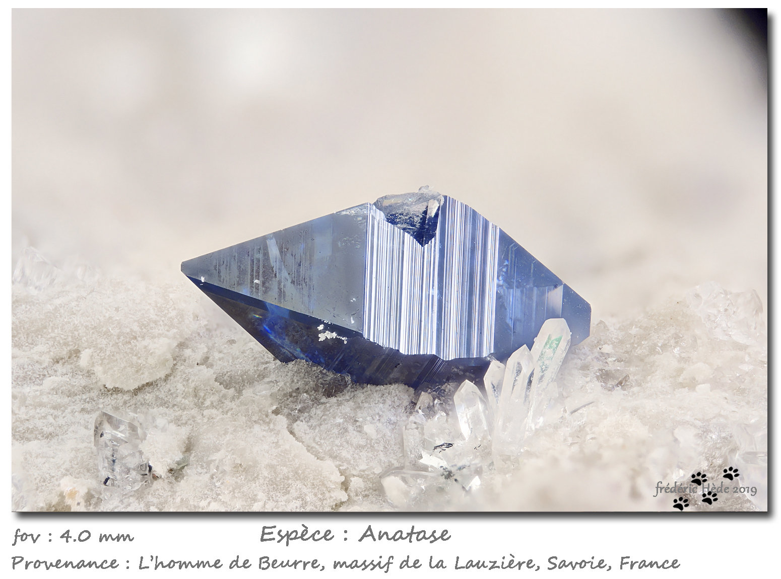 Anatase with Quartz
fov 4.0 mm
(Autor: ploum)