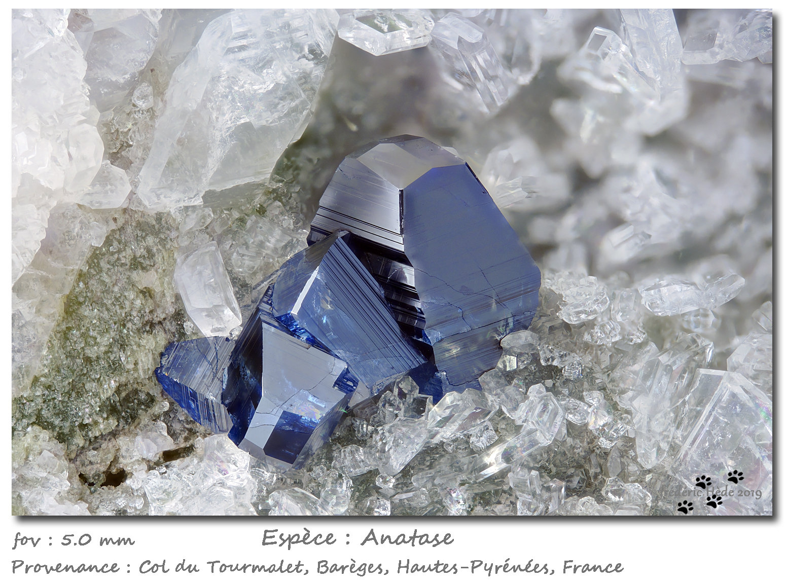 Anatase
fov 5.0 mm
(Autor: ploum)