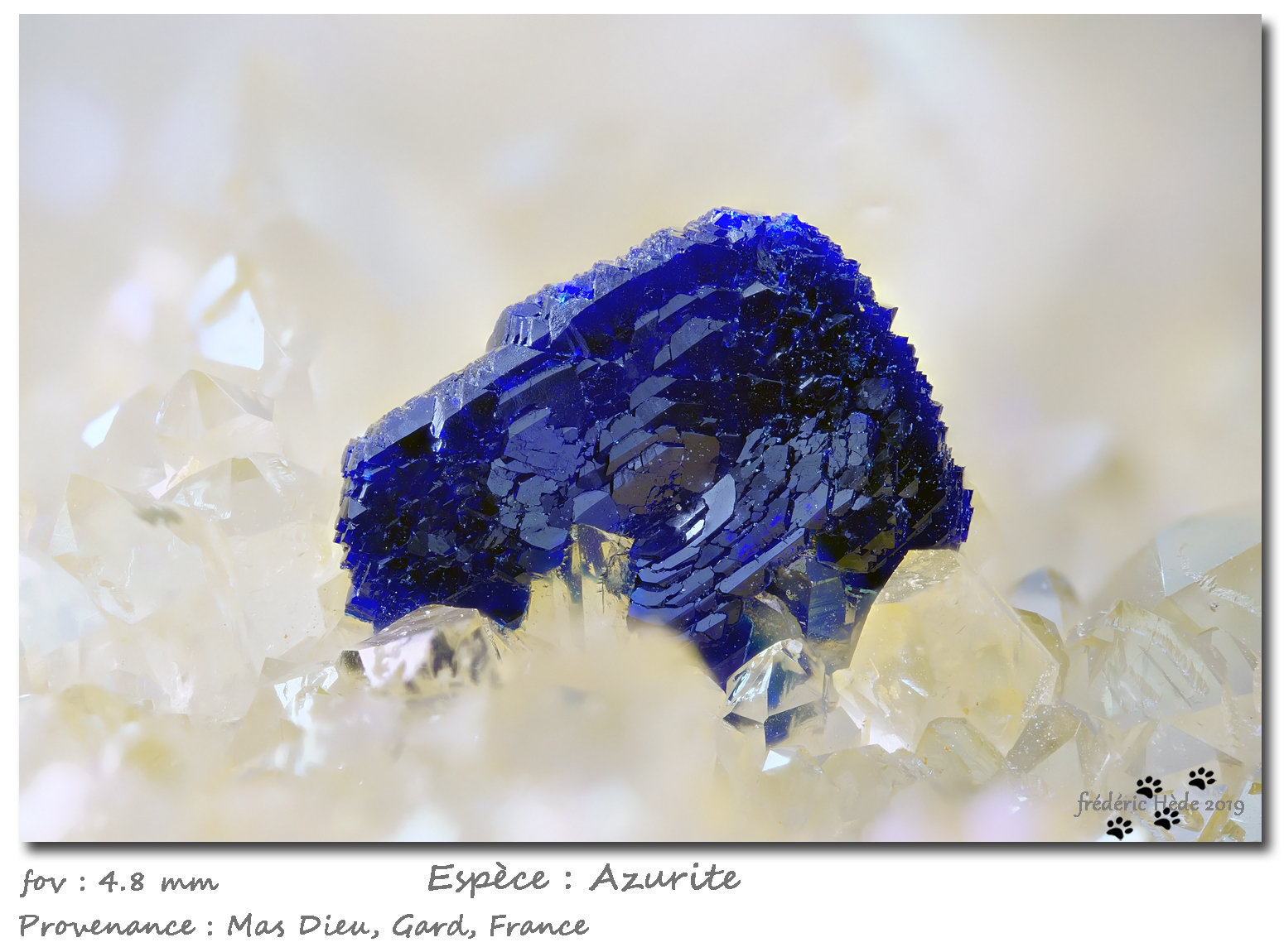 Azurite
fov 4.8 mm
(Autor: ploum)