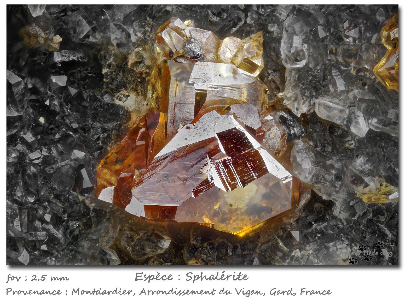 Sphalerite
fov 2.5 mm
(Autor: ploum)