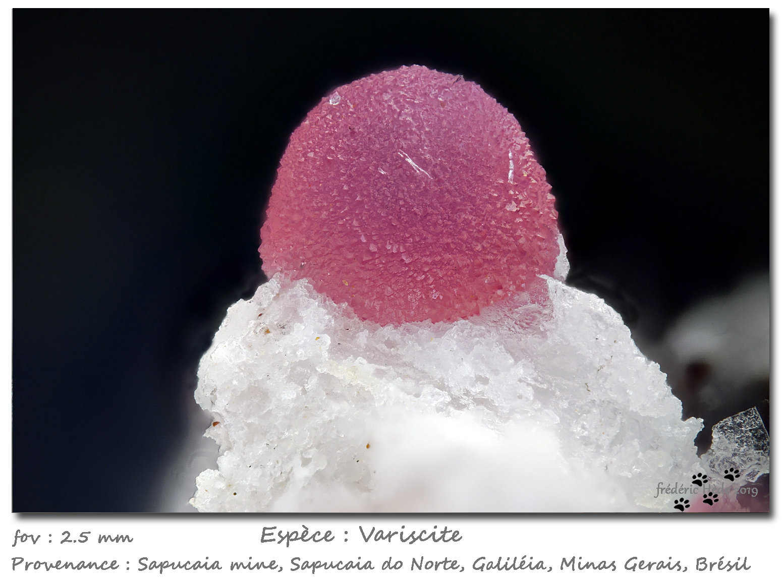 Variscite
fov 2.5 mm
(Autor: ploum)
