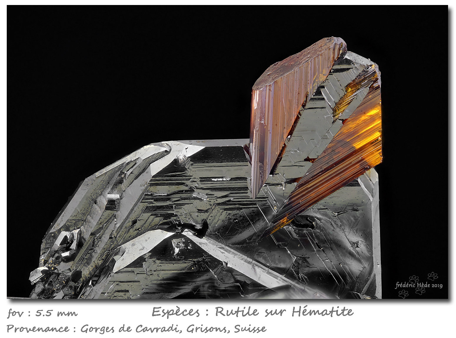 Rutile on Hematite
fov  5.5 mm
(Autor: ploum)