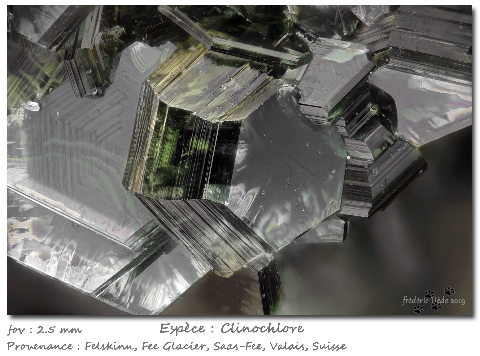 Clinochlore
fov 2.5 mm
(Autor: ploum)