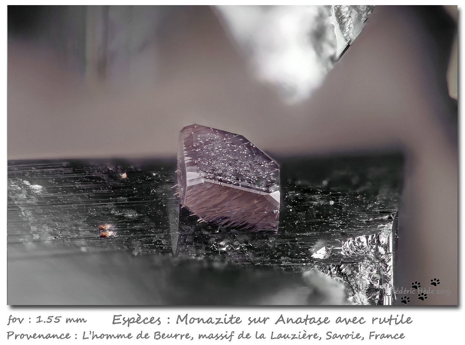 Monazite on Anatase and with Rutile
fov 1.6 mm
(Autor: ploum)