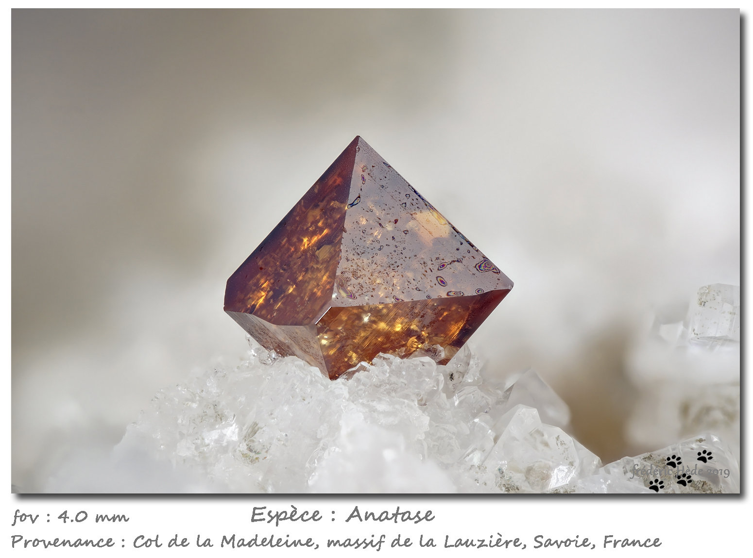 Anatase
fov 4.0 mm
(Autor: ploum)