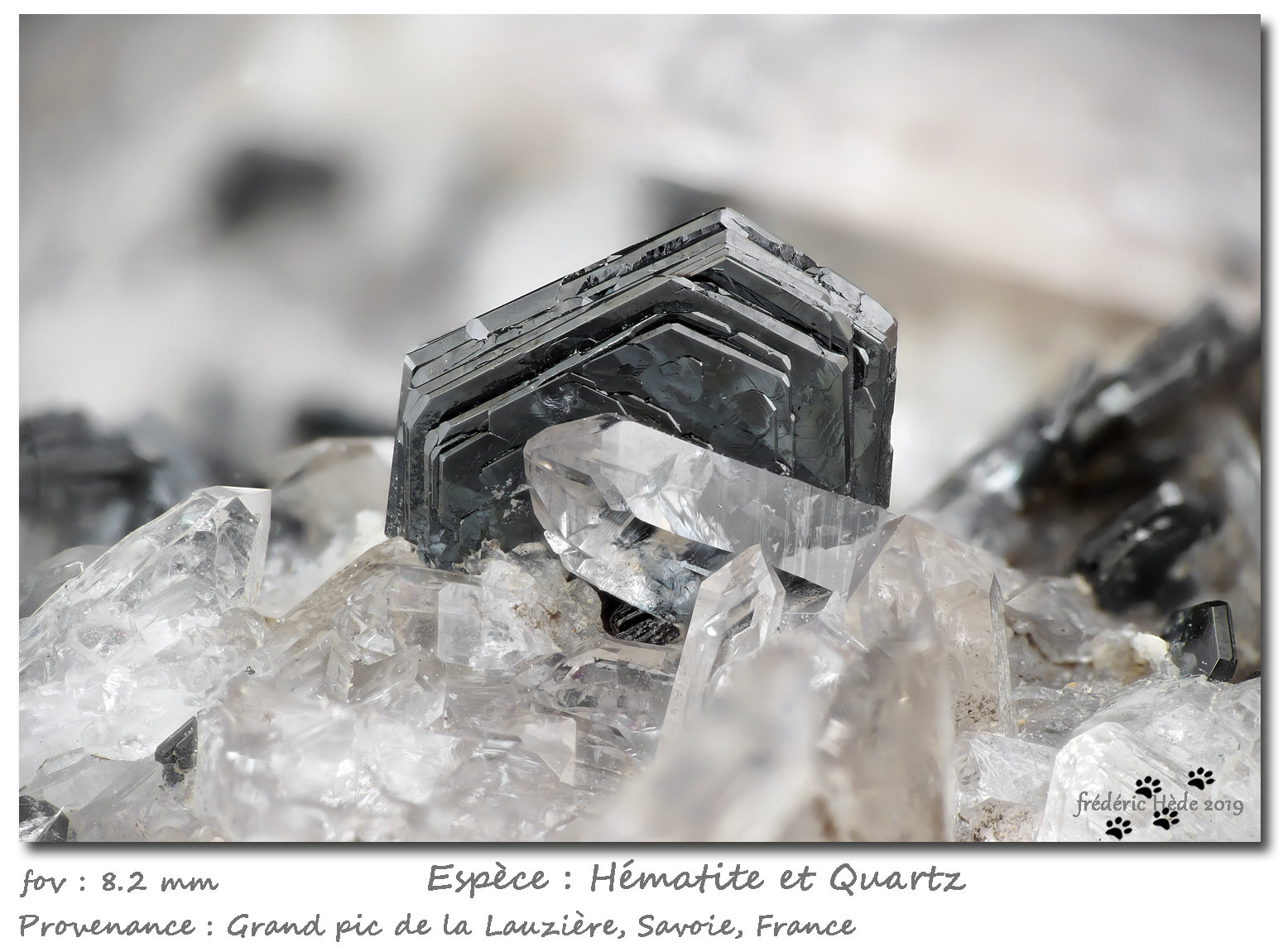 Hematite and Quartz
fov 8.2 mm
(Autor: ploum)