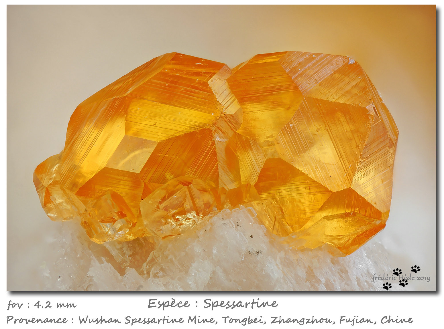 Spessartine
fov 4.2 mm
(Autor: ploum)