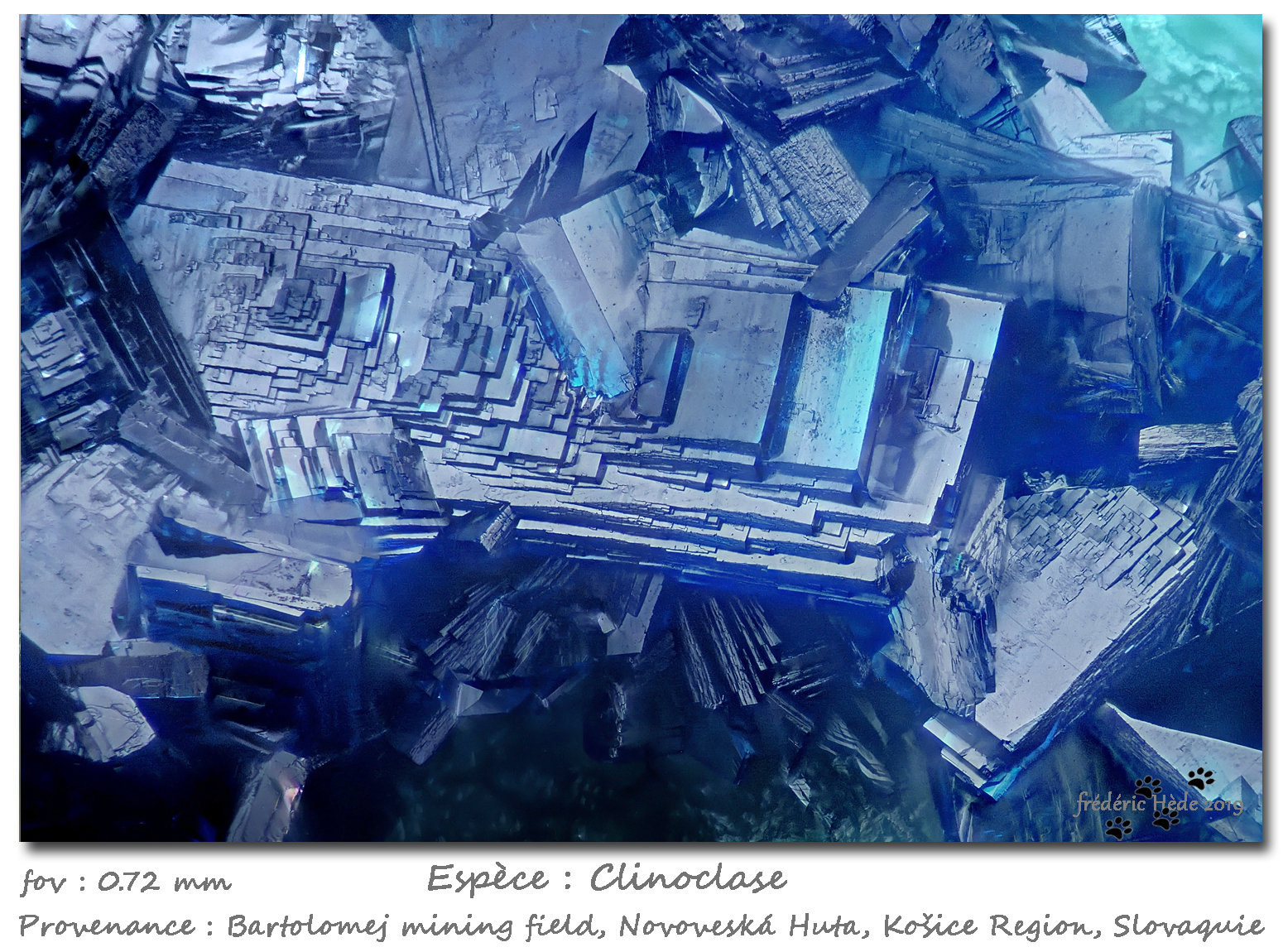 Clinoclase
fov 0.72 mm
(Autor: ploum)