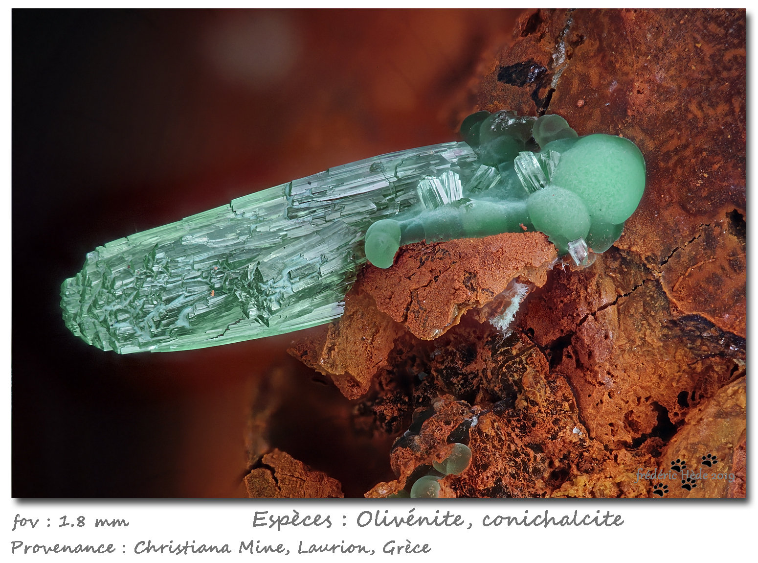 Olivenite and Conichalcite
fov 1.8 mm
(Autor: ploum)