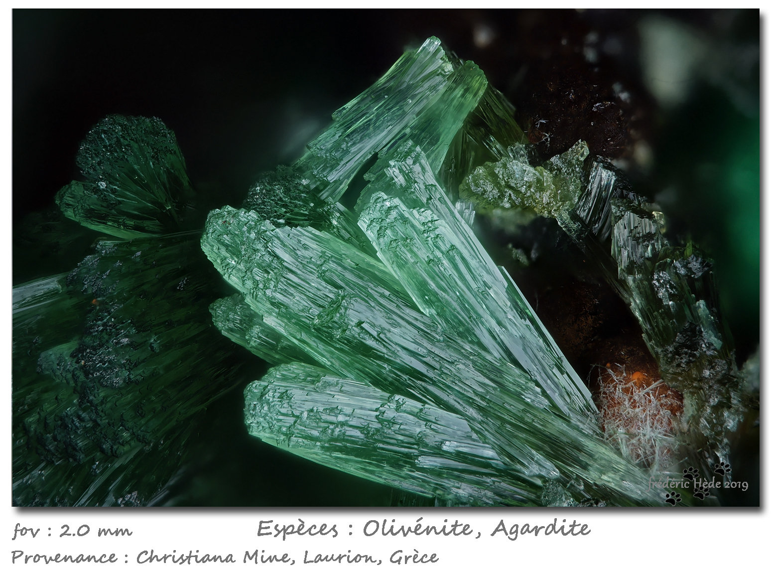 Olivenite and Agardite
fov 2.0 mm
(Autor: ploum)