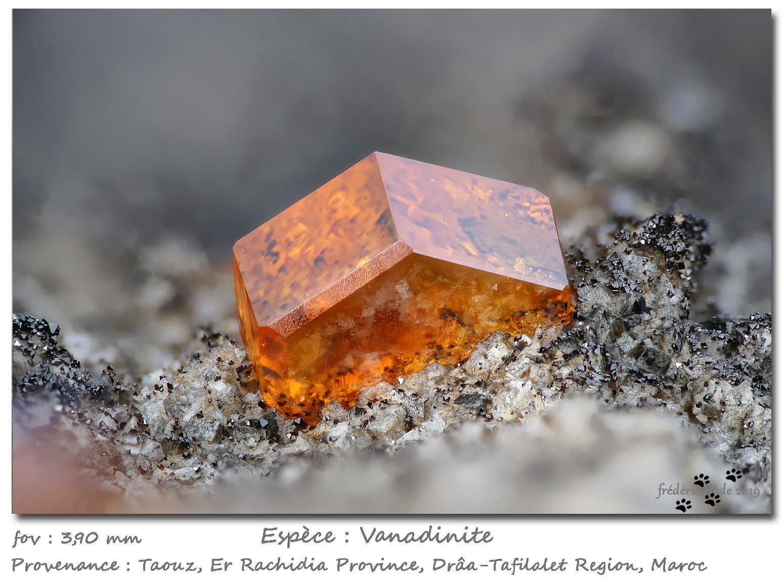 Vanadinite
fov 3.9 mm
(Autor: ploum)